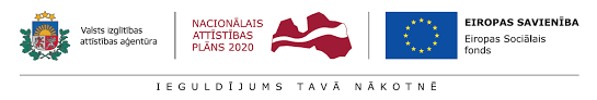NAP logo